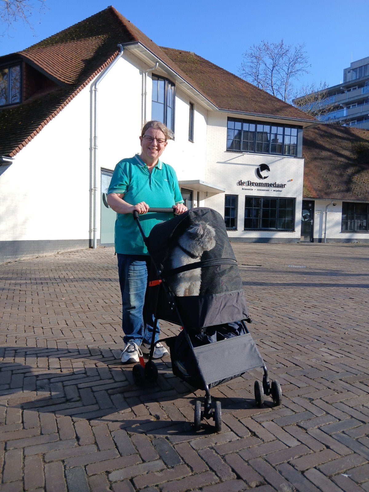 Hondenbuggy., Ophalen of Verzenden, Zo goed als nieuw