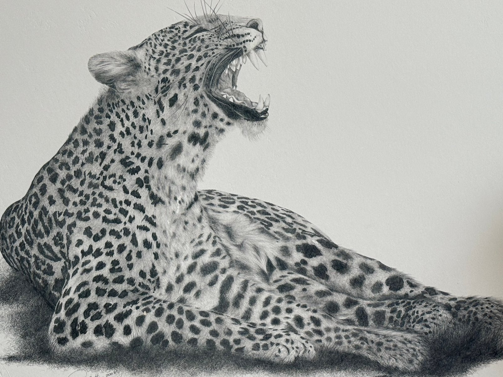 Zwart wit tekening luipaard/ panter, Verzamelen, Dierenverzamelingen, Ophalen, Zo goed als nieuw, Beeldje of Figuurtje