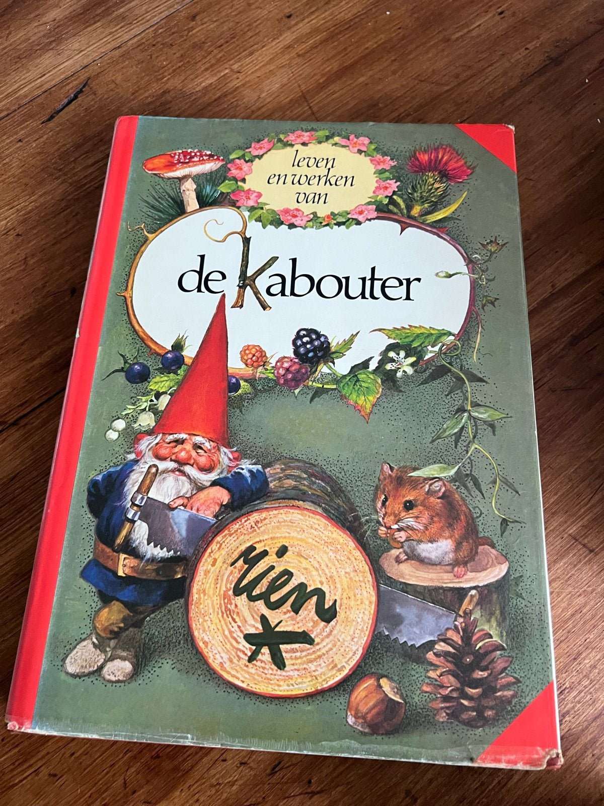 Het leven en werken van de Kabouter - Rien Poortvliet, Ophalen of Verzenden, Gelezen