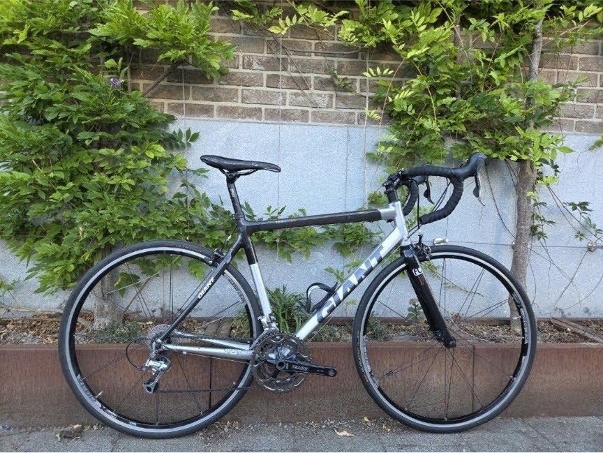 Giant TCR Alliance 2.0, size ML, alu/carbon, Ophalen, 28 inch, Gebruikt, Velgrem