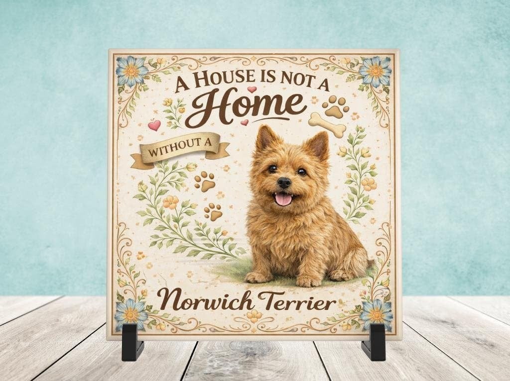 A House is not a Home Without a Norwich Terrier -Tegel, Verzenden, Nieuw