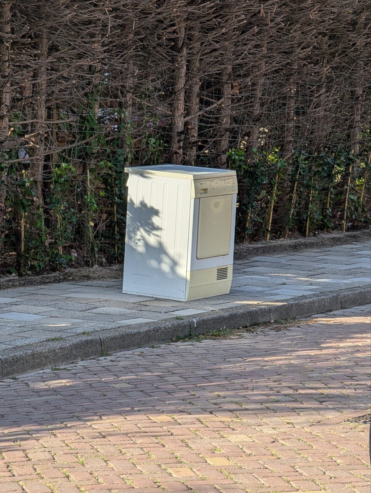 Er staat al een paar dagen een droger langs de weg., Witgoed en Apparatuur, Wasdrogers, Luchtafvoer, Ophalen