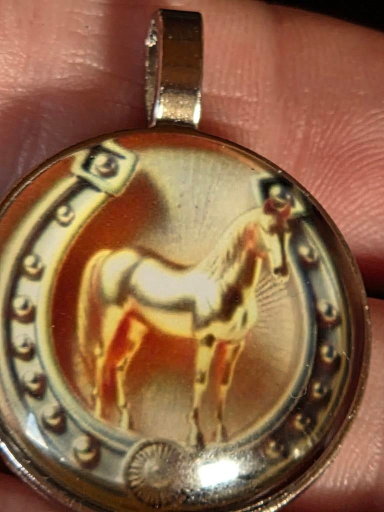 Glazen hanger met paard en hoefijzer, Overige kleuren, Glas of Kristal, Nieuw, Ophalen of Verzenden