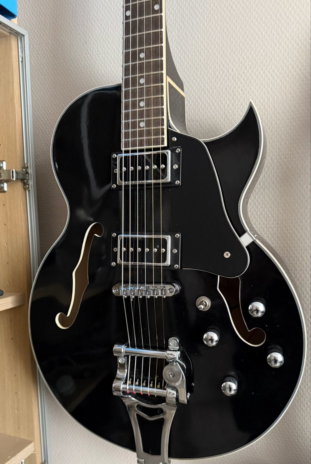Hollow Body Gitaar met Tremolo - Zwart met koffer, Ophalen, Gebruikt, Hollow body, Overige merken