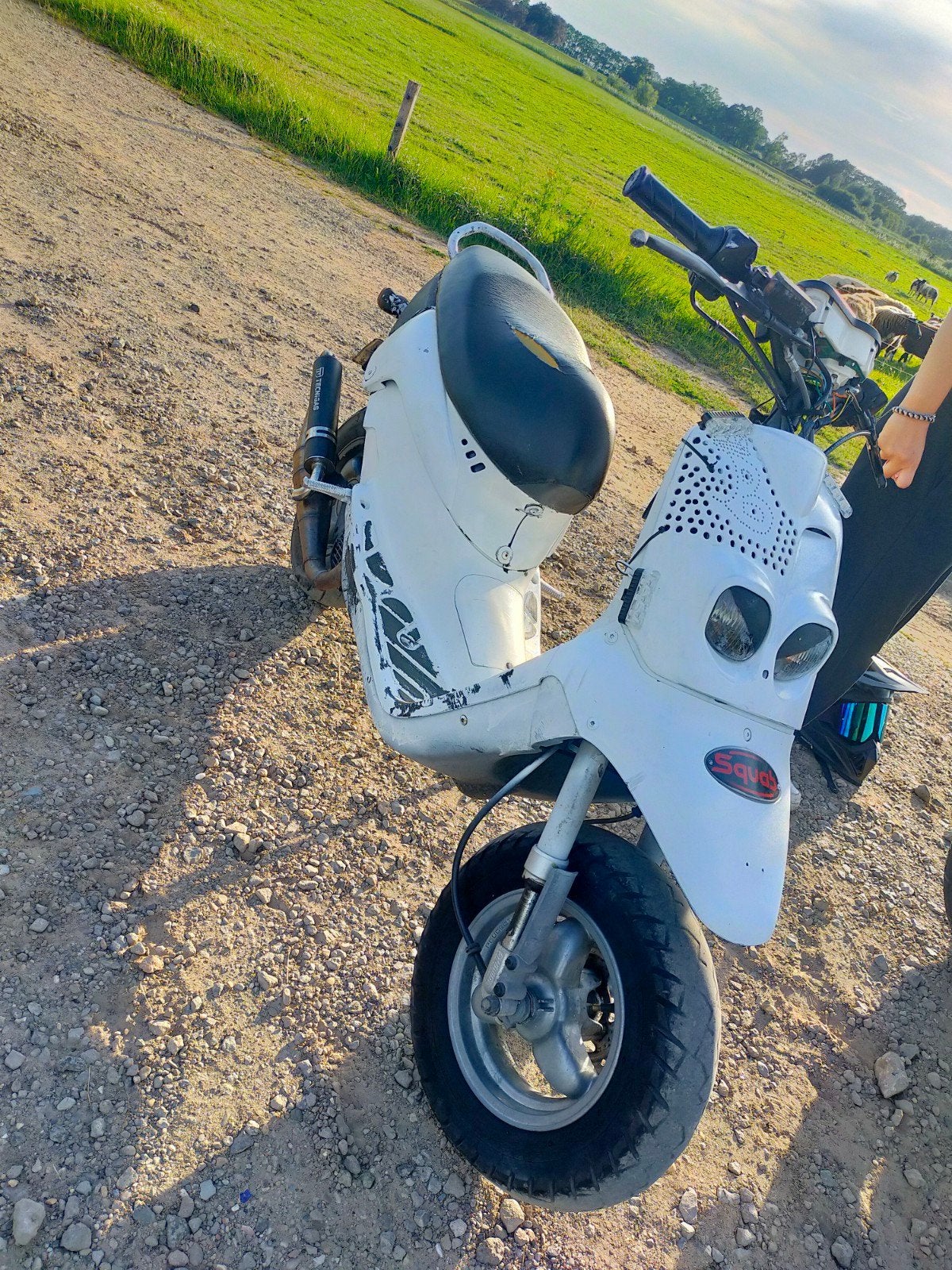 Peugeot squab (zonder kenteken) 70cc WAARDE PEILING, Ophalen, Tweetakt, Gebruikt, Maximaal 45 km/u