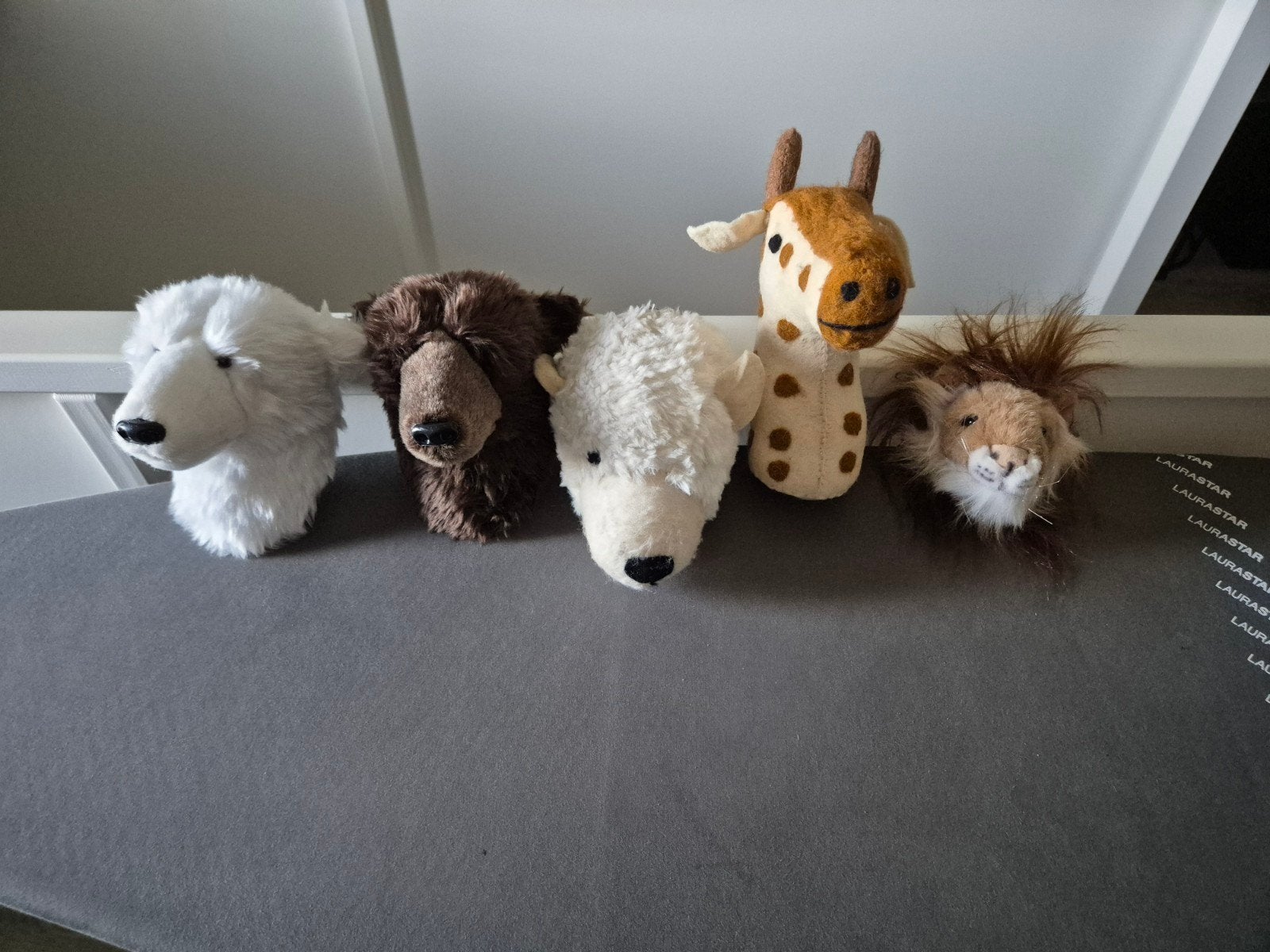 Muurhangers Dierenkoppen, Ophalen of Verzenden, Overige typen