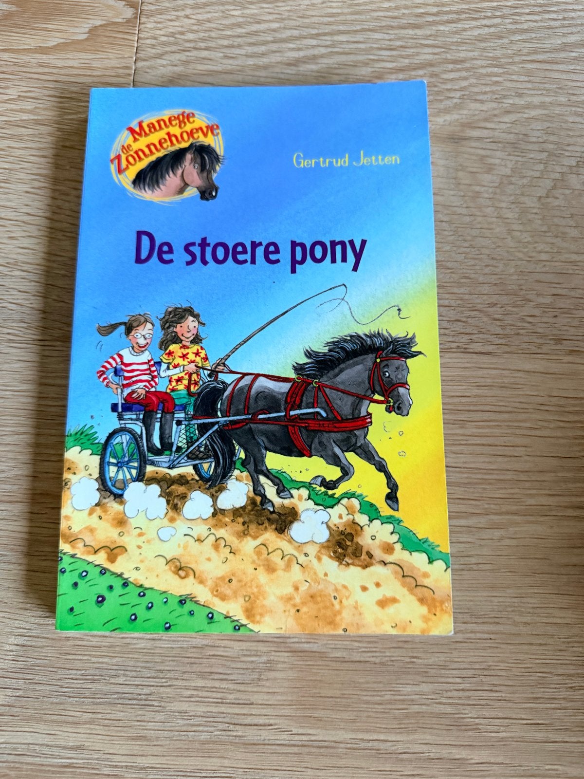 De stoere pony - Manege Zonnehoeve, Boeken, Ophalen of Verzenden, Zo goed als nieuw, Fictie algemeen