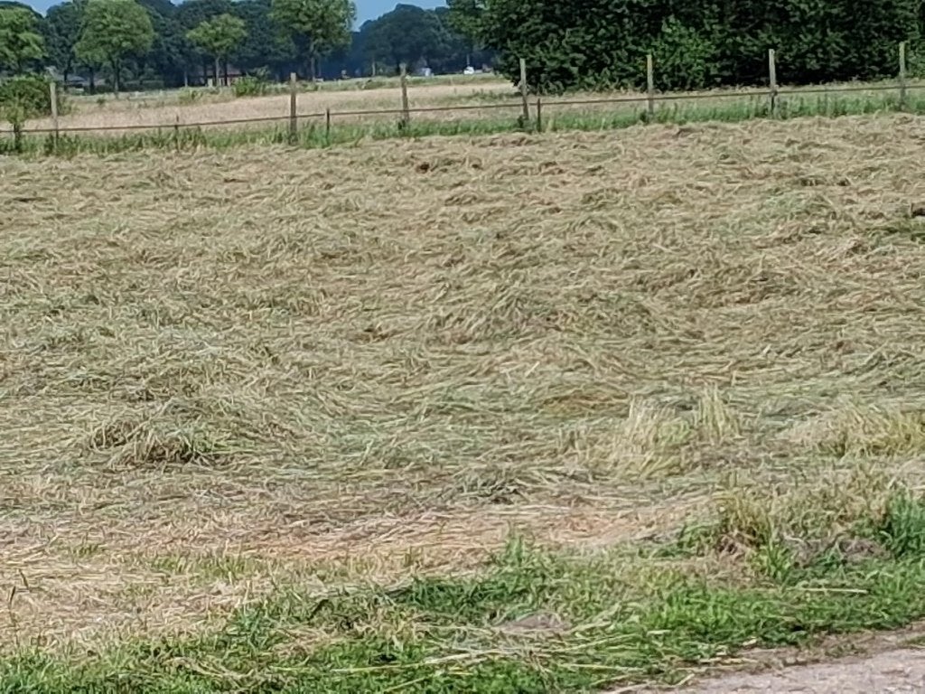 Kleine pakken hooi (weidehooi) en stro (tarwestro), Dieren en Toebehoren, Ophalen of Verzenden, Vee