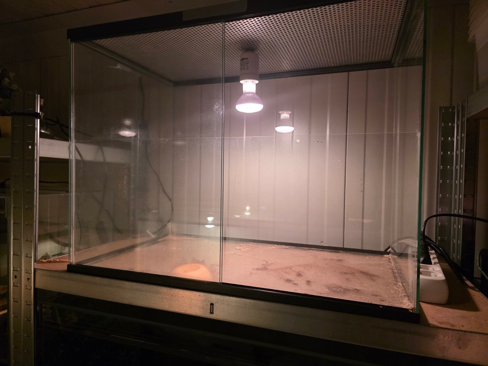 Terrarium, Dieren en Toebehoren, Reptielen en Amfibieën | Toebehoren, Ophalen
