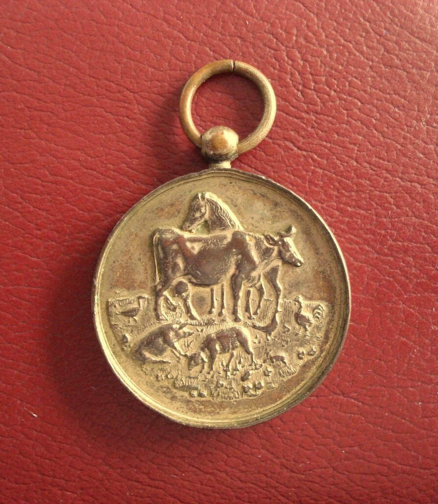 medaille landbouw paard koe varken 1900 Hoevenen, Ophalen, Overige materialen, Buitenland