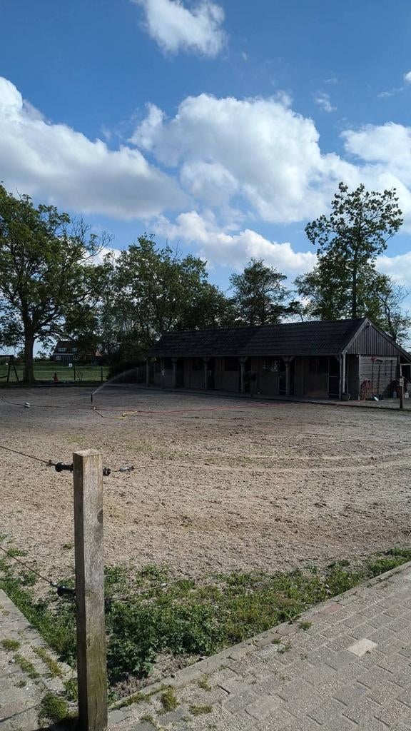2 buitenboxen aan huis te huur op kleinschalige pensionstal, Dieren en Toebehoren, Stalling en Weidegang