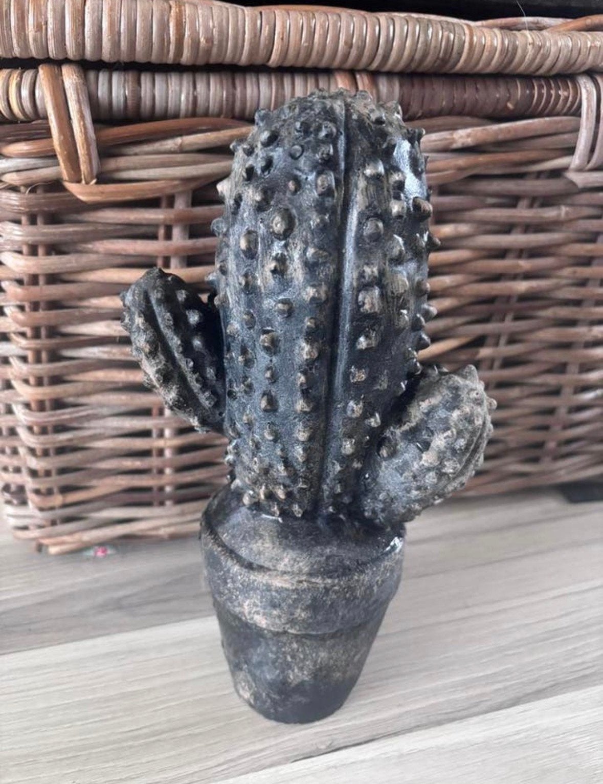 Stenen cactus, Ophalen, Zo goed als nieuw
