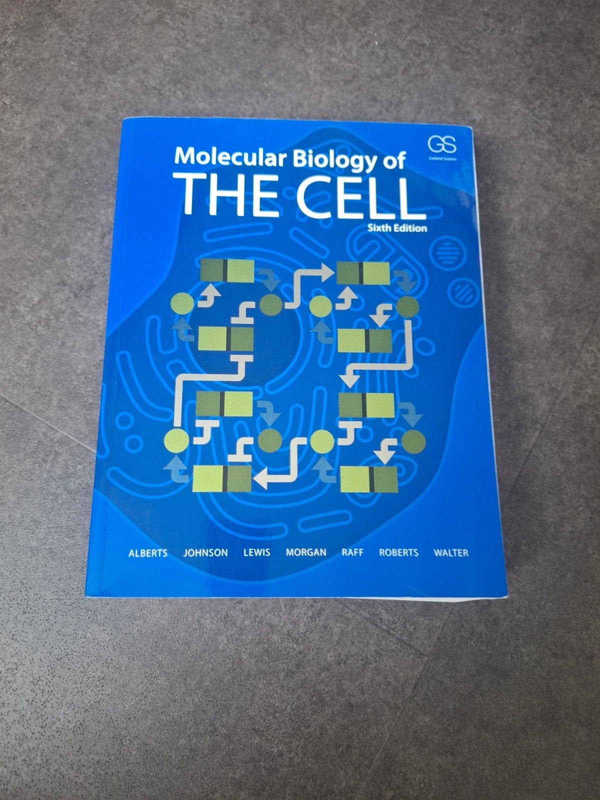 Molecular Biology of the Cell - Sixth Edition, Boeken, Studieboeken en Cursussen, Alberts, Johnson, Lewis, Morgan, Raff, Roberts, Walter