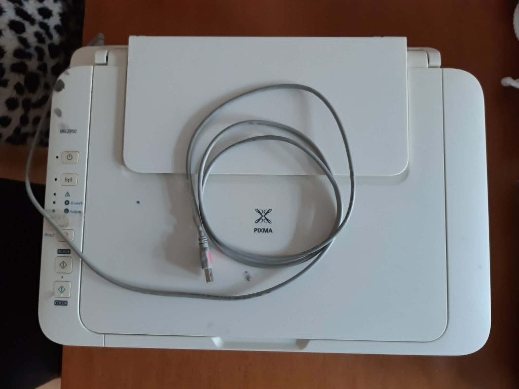 Ik zoek met spoed printer/scanner Canon MG2950, Kleur printen, Gebruikt, Printer, Ophalen of Verzenden