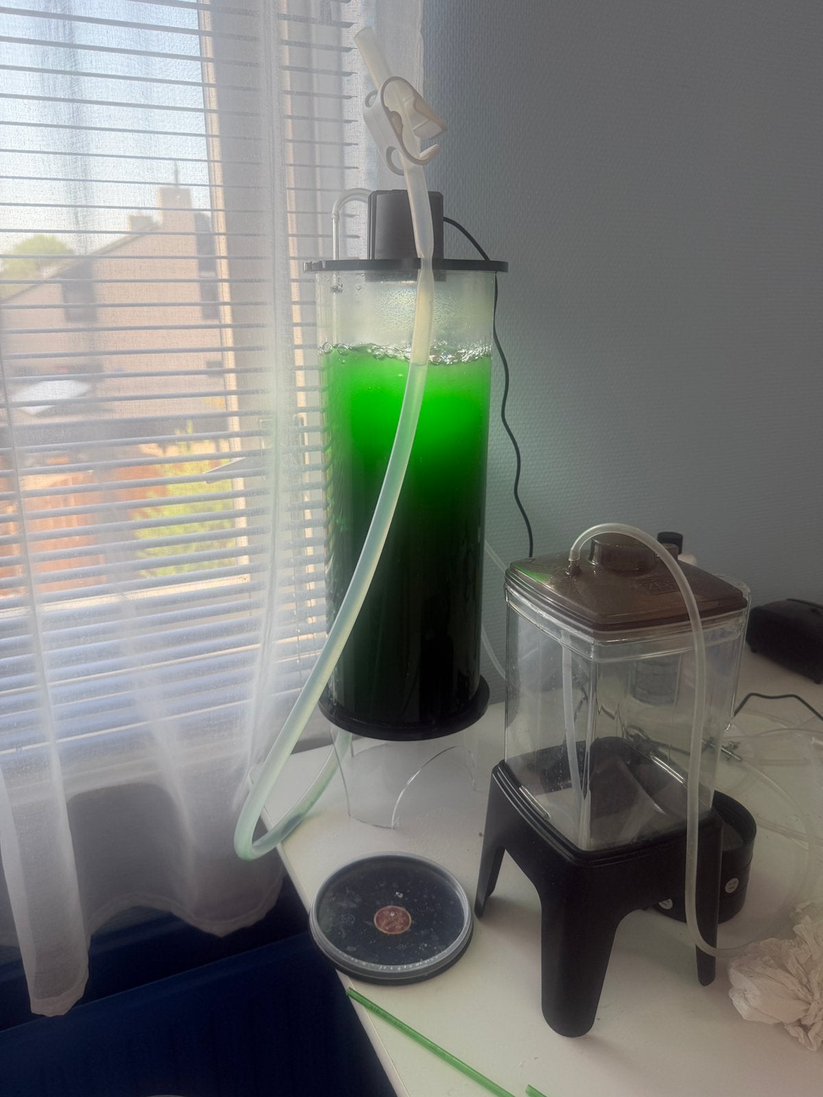 Phytoplankton, Ophalen, Zo goed als nieuw