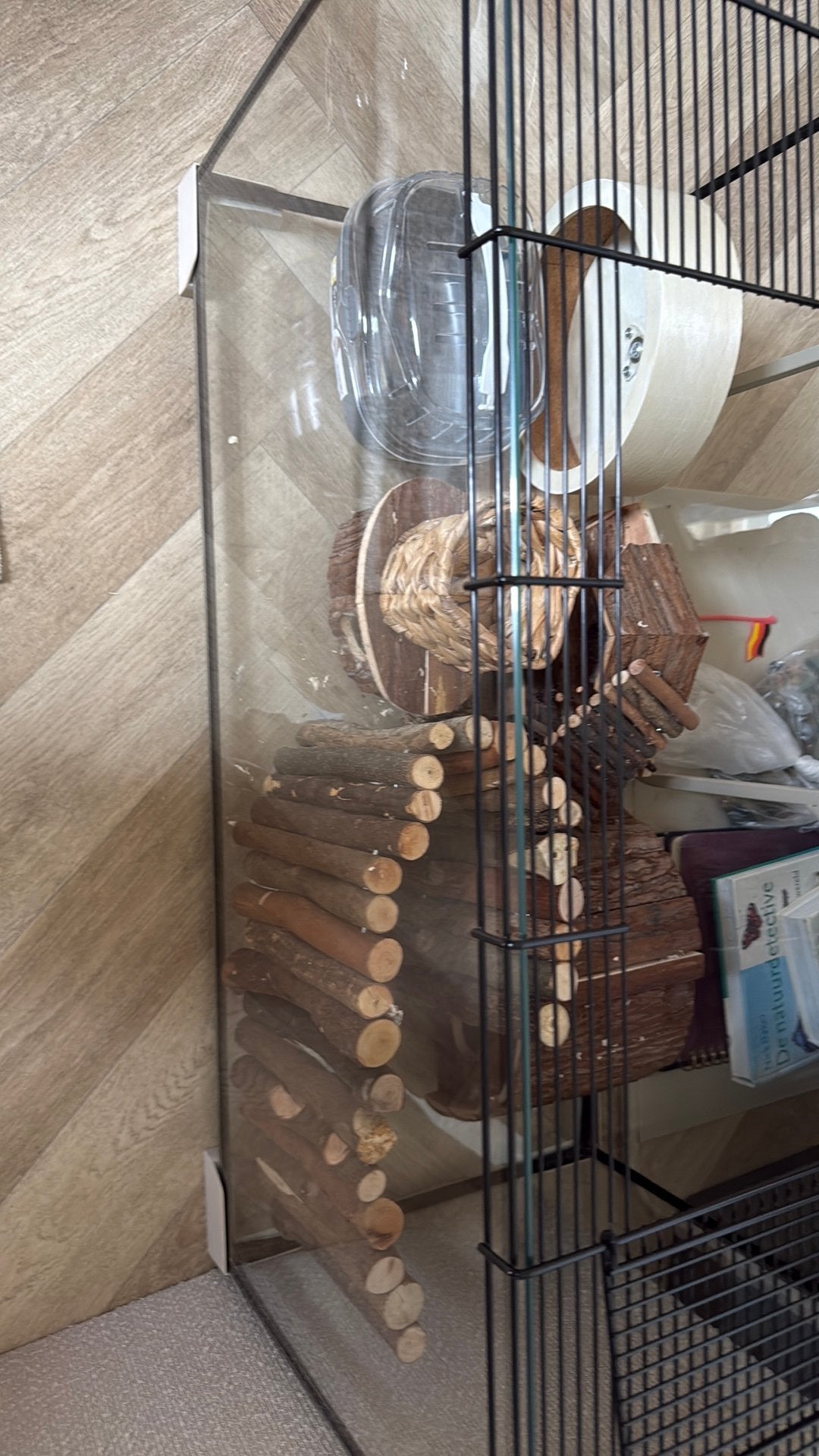 Knaagdieren kooi met spullen, Dieren en Toebehoren, Hok, 75 tot 110 cm, Ophalen, Minder dan 60 cm