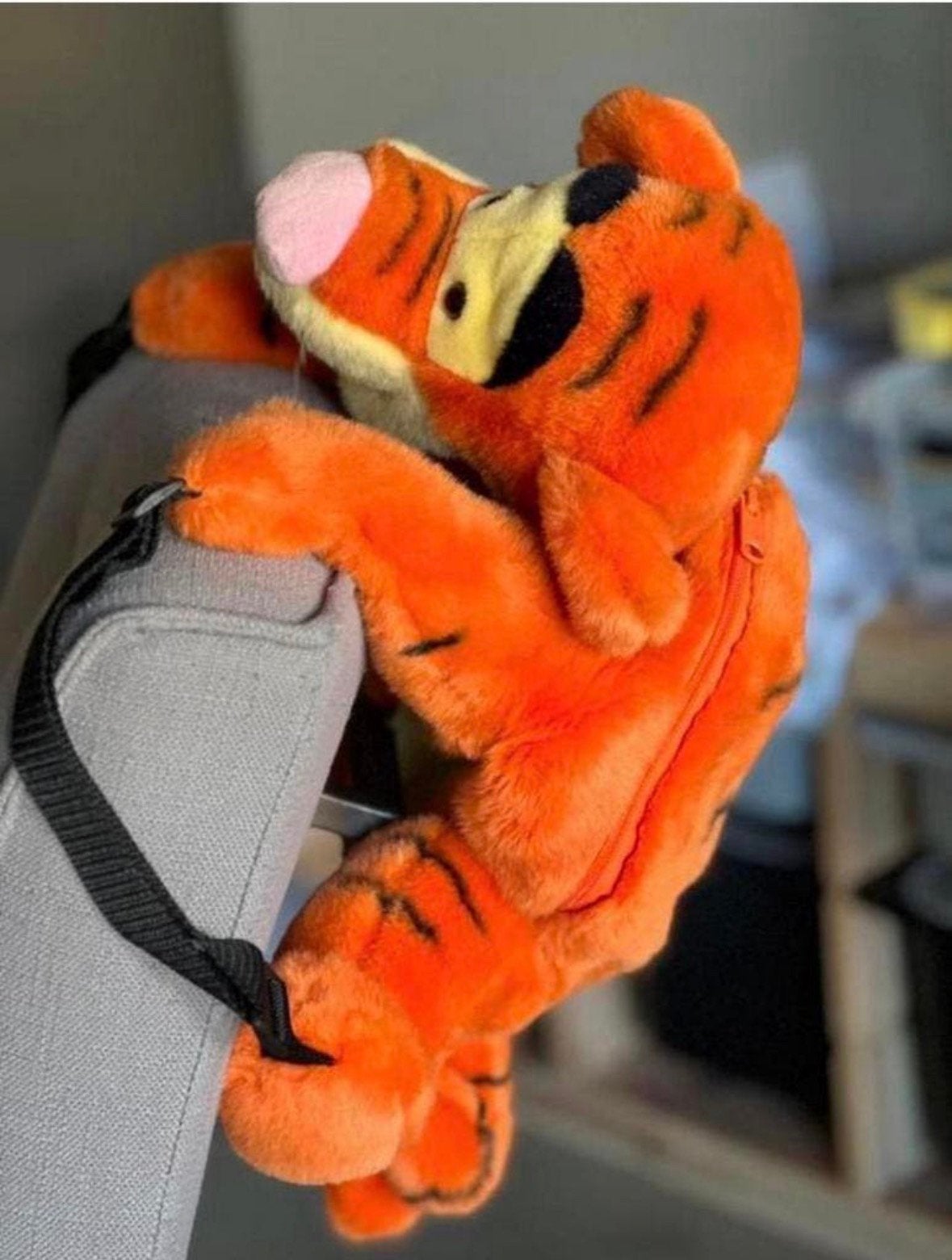 Disney Teigetje rugtasje, Ophalen of Verzenden, Winnie de Poeh of vrienden, Zo goed als nieuw, Tas, Koffer of Zak