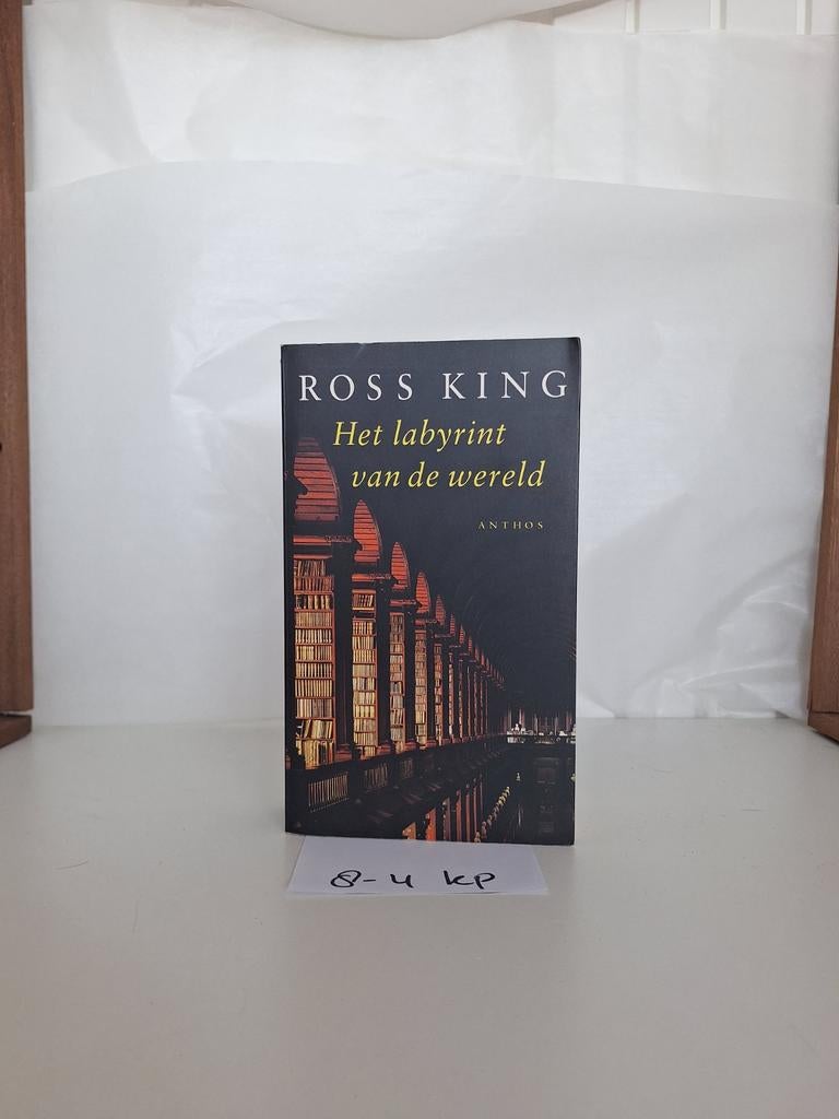 Het labyrint van de wereld - Ross King, Boeken, Ophalen of Verzenden