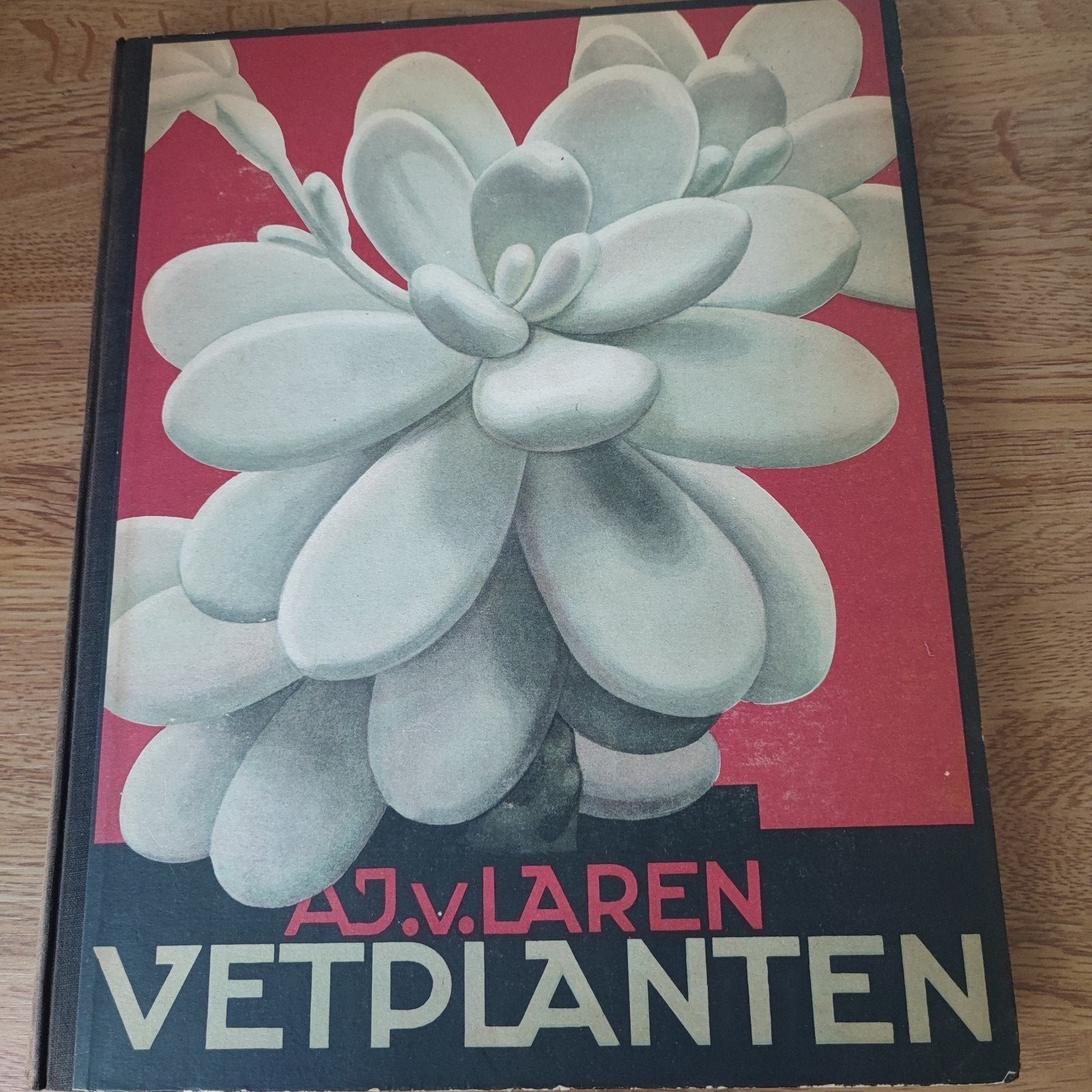 Zeldzaam Verkade's Album: Vetplanten (1932), Ophalen of Verzenden, Gelezen, Bloemen, Planten en Bomen, A.J.V. Laren