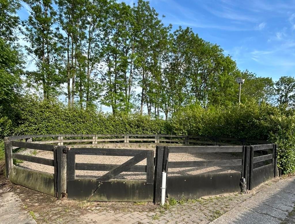 Stalling te huur, Dieren en Toebehoren, Stalling en Weidegang, Stalling
