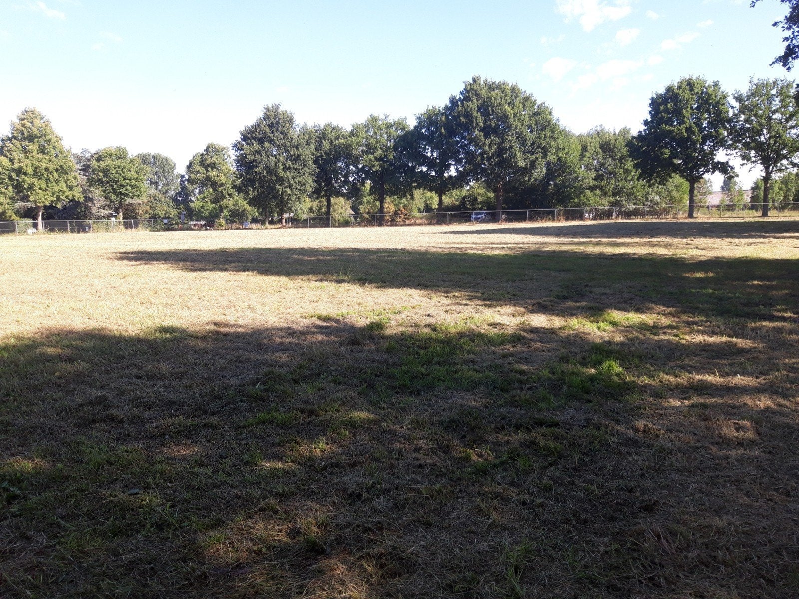 weiland te huur, 2 of 3 paarden of pony's
