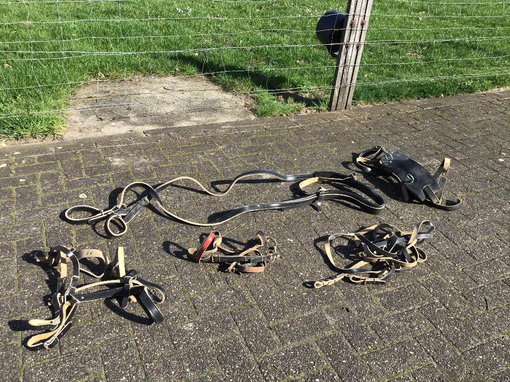 Pony tuig voor een karretje, Ophalen, Zo goed als nieuw, Overige soorten