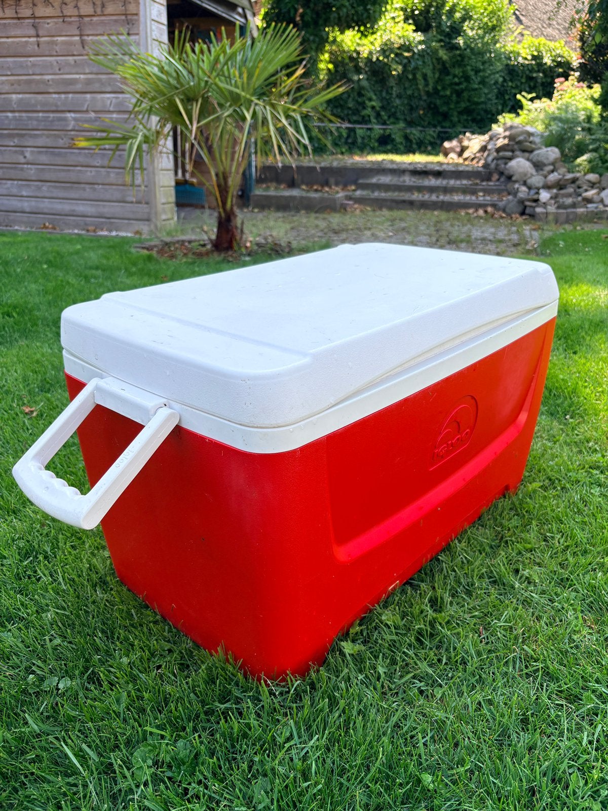 Igloo koelbox 39 liter, Ophalen, Gebruikt, Koelbox