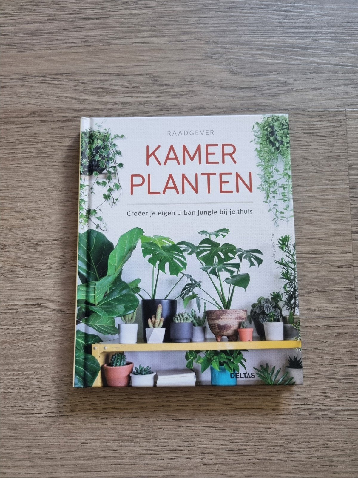 Raadgever Kamerplanten: Creëer je eigen urban jungle, Ophalen of Verzenden, Zo goed als nieuw, Angelika Throll, Kamerplanten