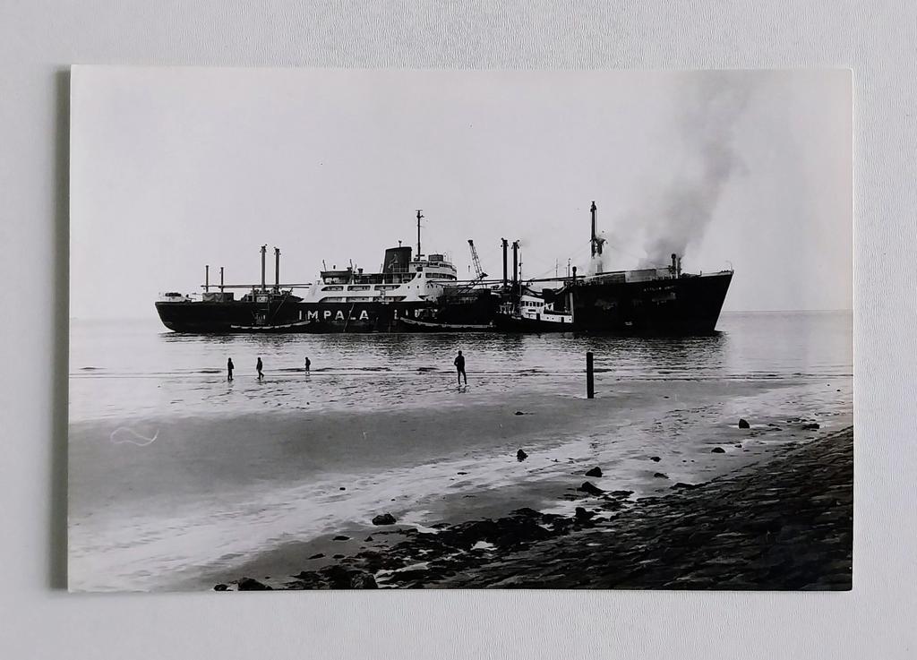 Attican Unity aan de grond bij Cadzand., Ophalen of Verzenden, Zo goed als nieuw, Kaart, Foto of Prent