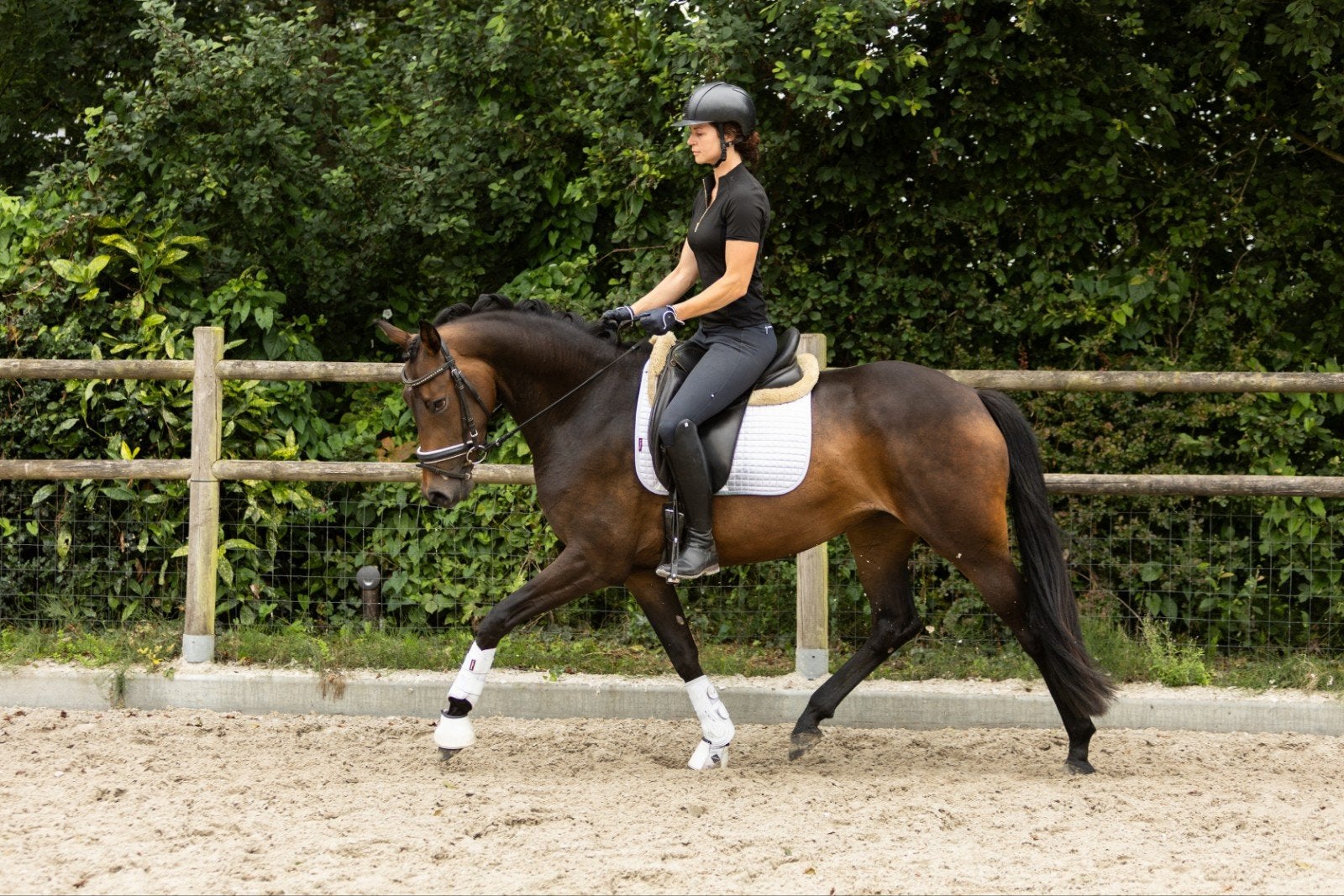 Vierjarige merrie uit goede sportstam, Merrie, Met stamboom, Dressuurpaard, 3 tot 6 jaar