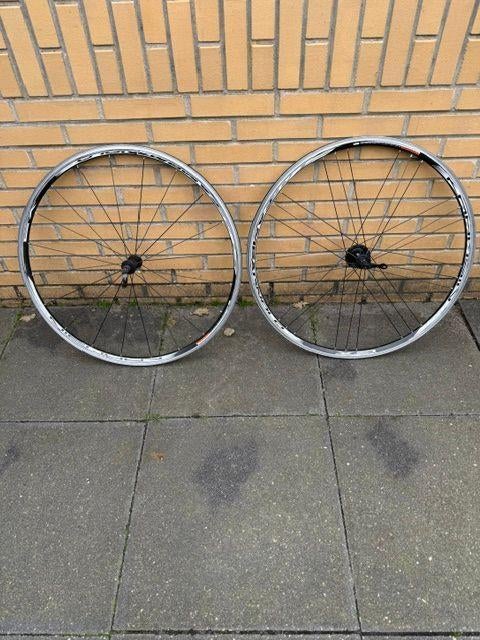 Campagnolo Khamsin wielen, Gebruikt, Campagnolo, Aluminium, Racefiets