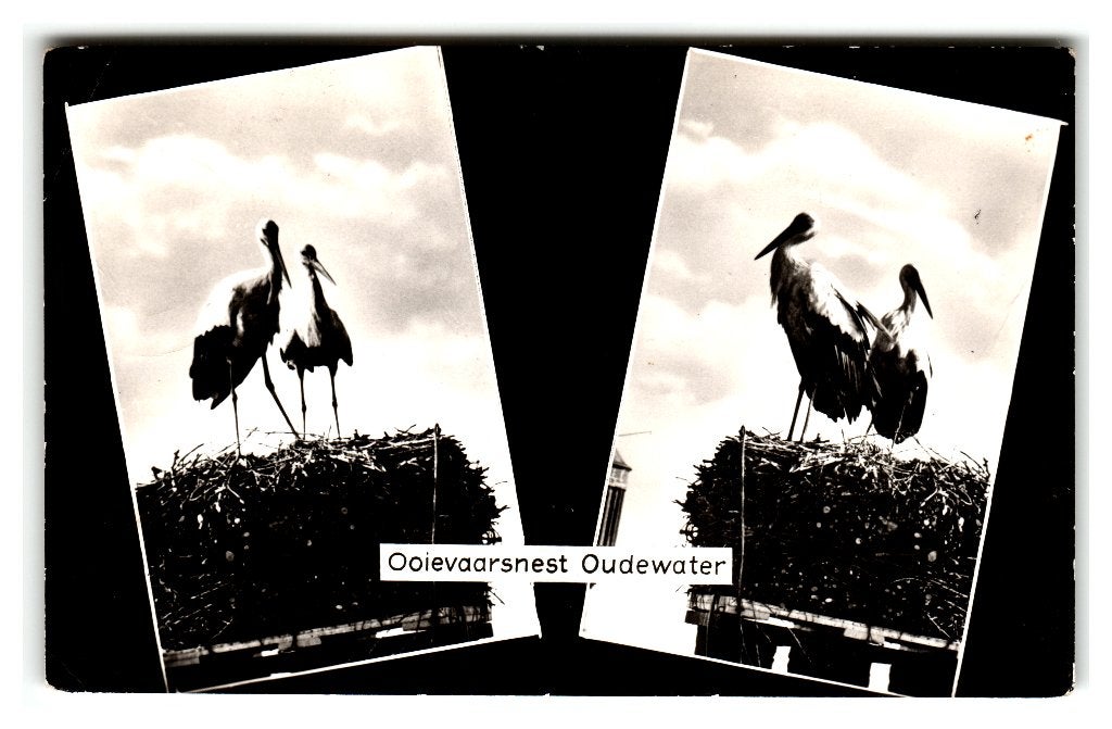 Oudewater, Ooievaarsnest, Verzenden, 1960 tot 1980, Gelopen, Utrecht