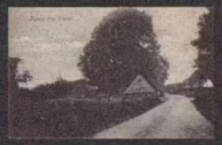 Elspeet Ingang Dorp Elspeet., Verzamelen, Ophalen of Verzenden, Voor 1920, Ongelopen, Gelderland