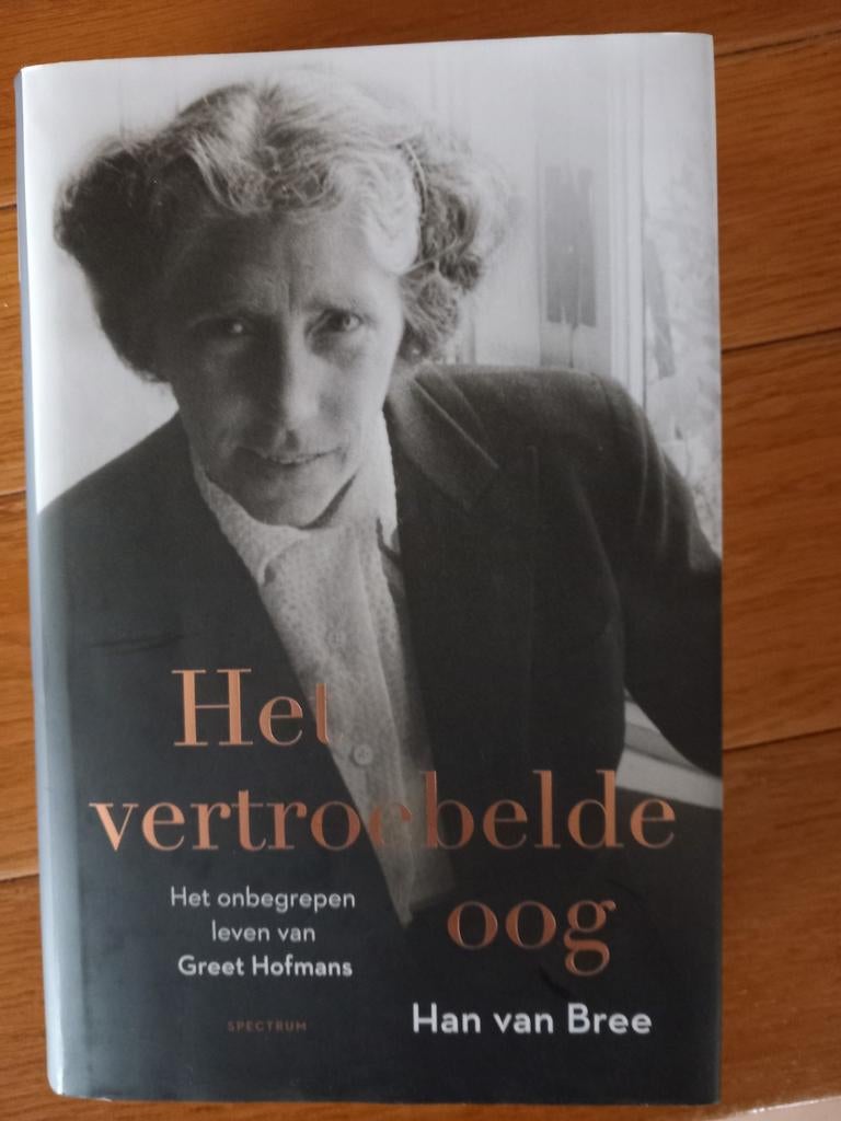 Het vertroebelde oog  Greet Hofmans, Ophalen of Verzenden, Gelezen, Han van Bree, Politiek