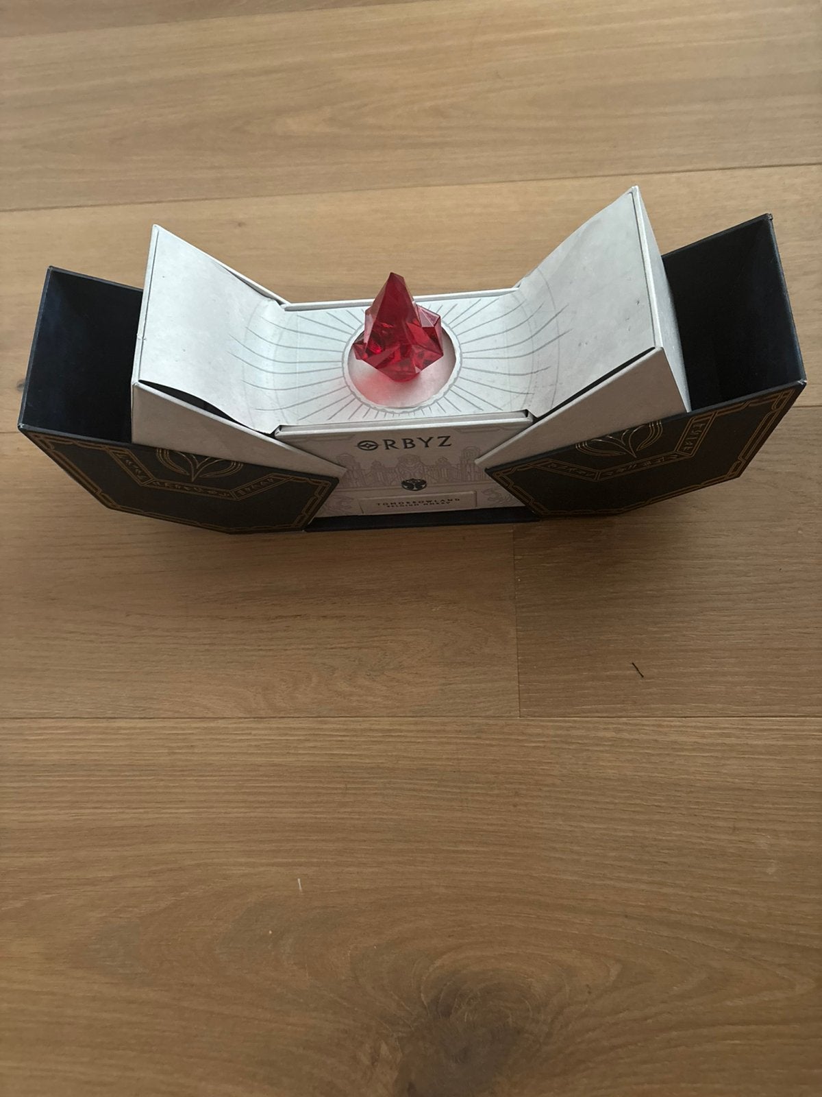 Tomorrowland treasure case 2025, Eén persoon