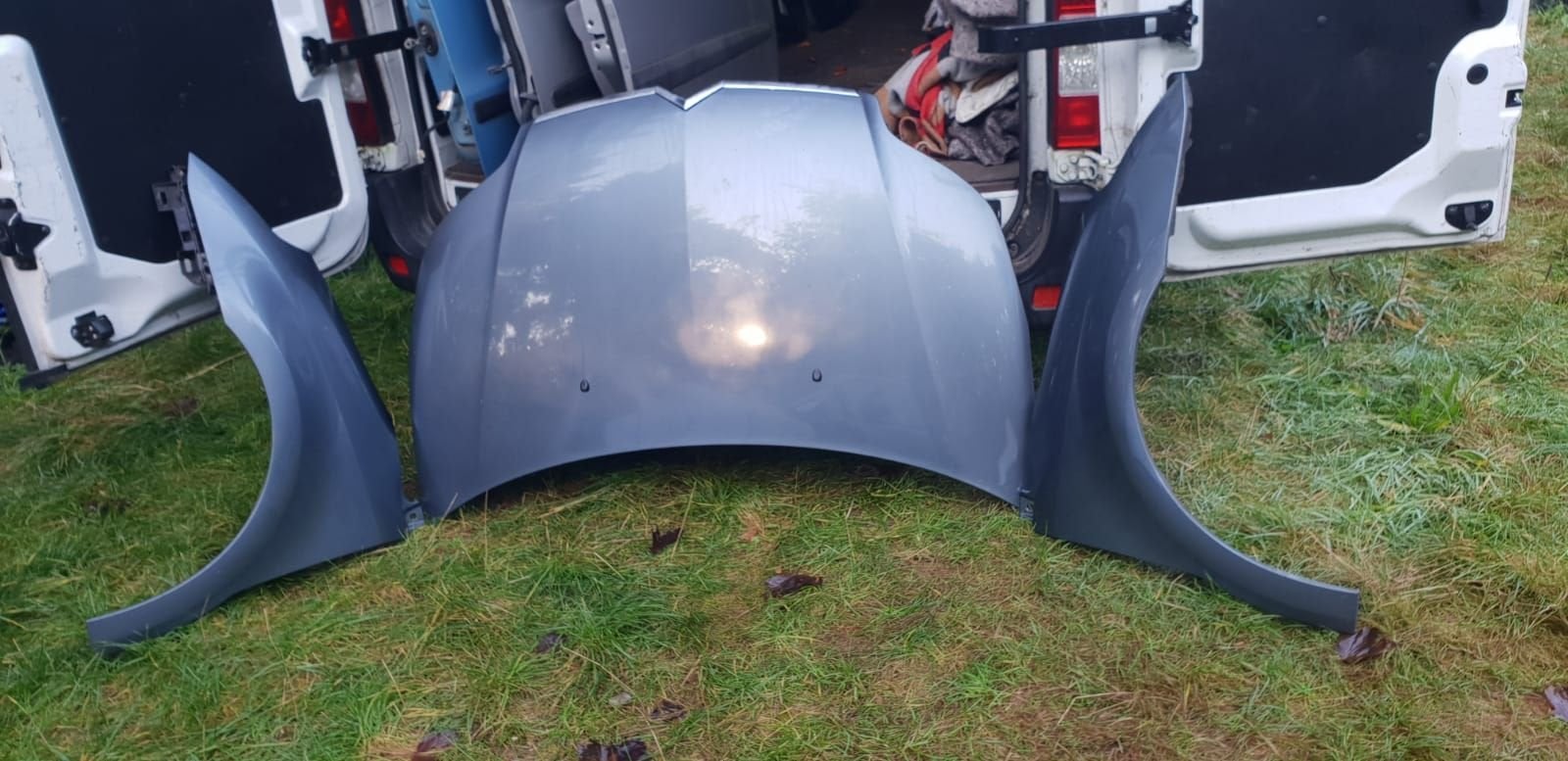 CITROËN C4 MOTORKAP +VOORSCHERMEN BJ 2004 TOT 2009, Gebruikt, -, -, Ophalen of Verzenden