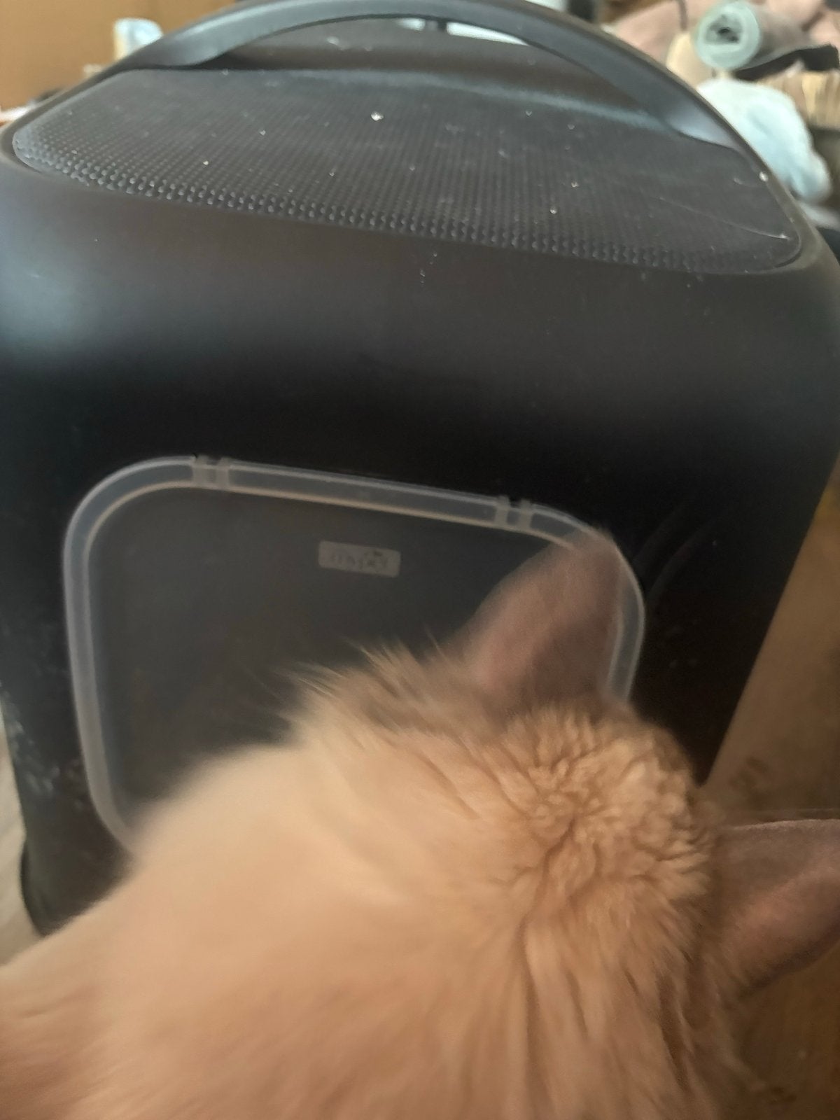 Kattenbak, Ophalen