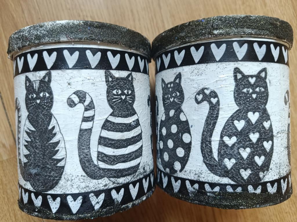 Katten in zwart/wit, Ophalen of Verzenden, Nieuw