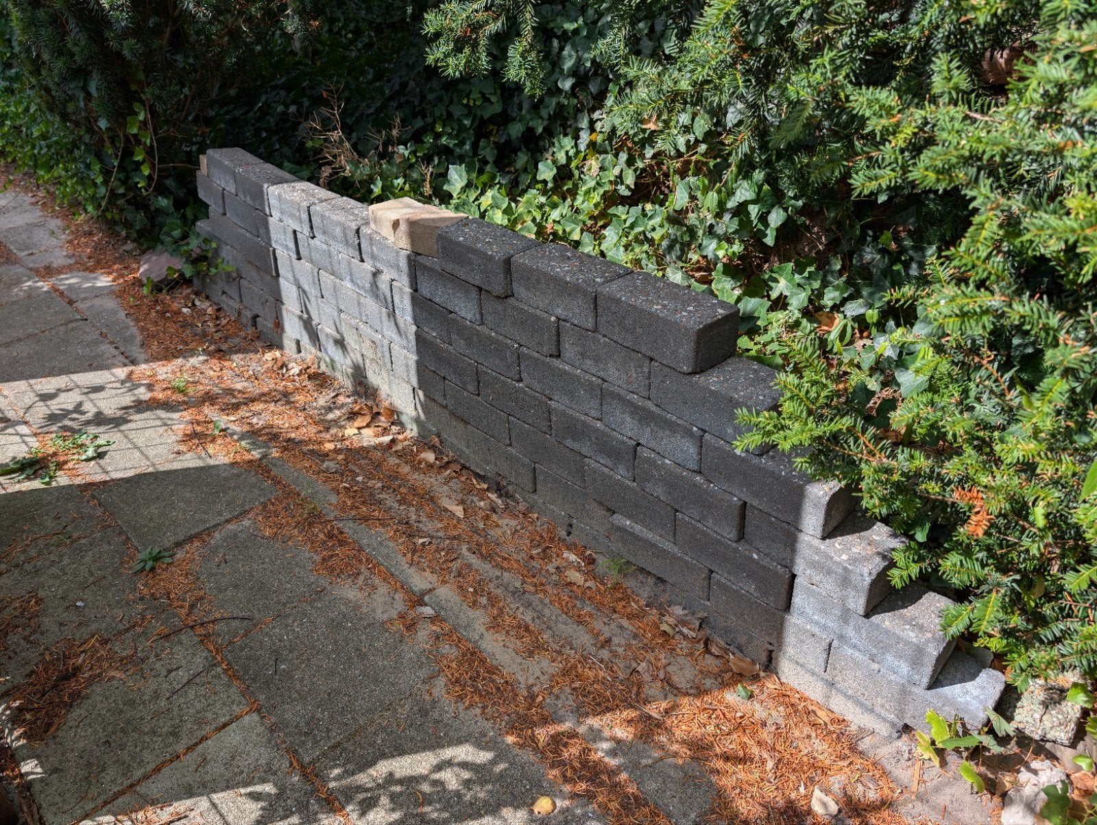 Betonnen klinkers / border blokken / borderrand, Tuin en Terras, Tegels en Klinkers, Ophalen, Gebruikt, Beton, Klinkers