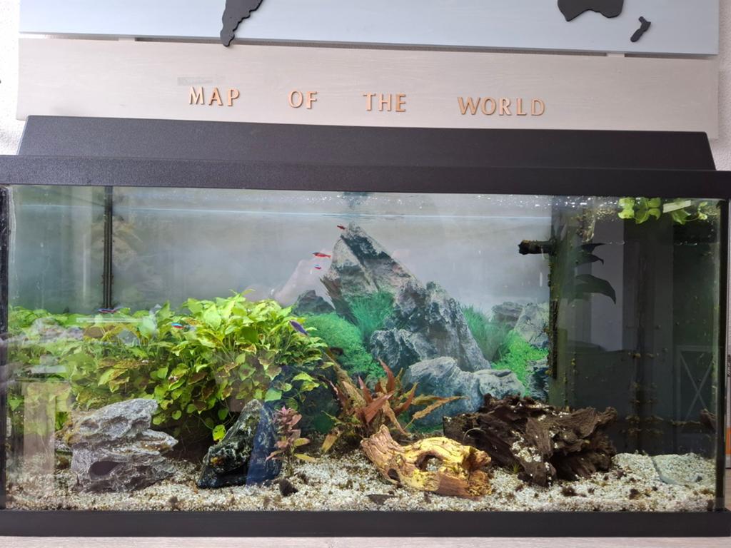 Juwel Primo 110 inclusief veel accessoires, Dieren en Toebehoren, Gebruikt, Ophalen of Verzenden, Gevuld zoetwateraquarium, Inclusief vissen