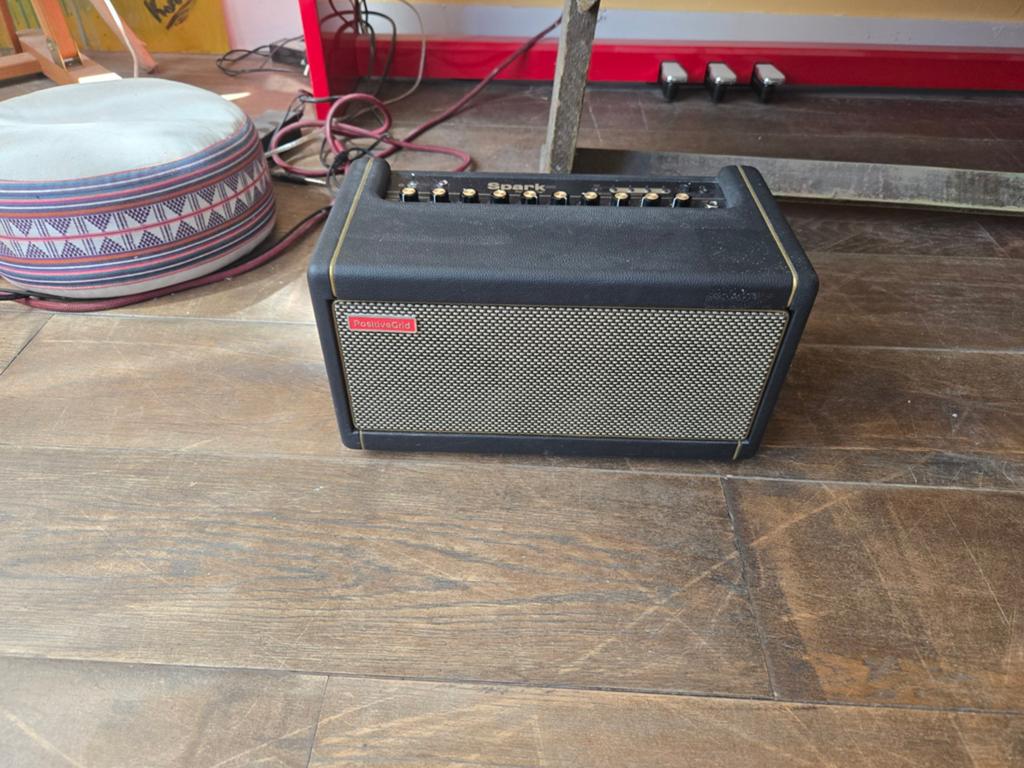 Spark 40 positive grid, Muziek en Instrumenten, Versterkers | Bas en Gitaar, Ophalen of Verzenden, Gebruikt, Gitaar, Minder dan 50 watt