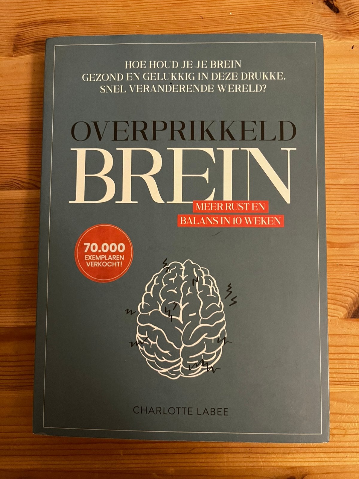 Charlotte Labee - Overprikkeld brein nieuw, Charlotte Labee, Nieuw, Ophalen of Verzenden, Overige onderwerpen