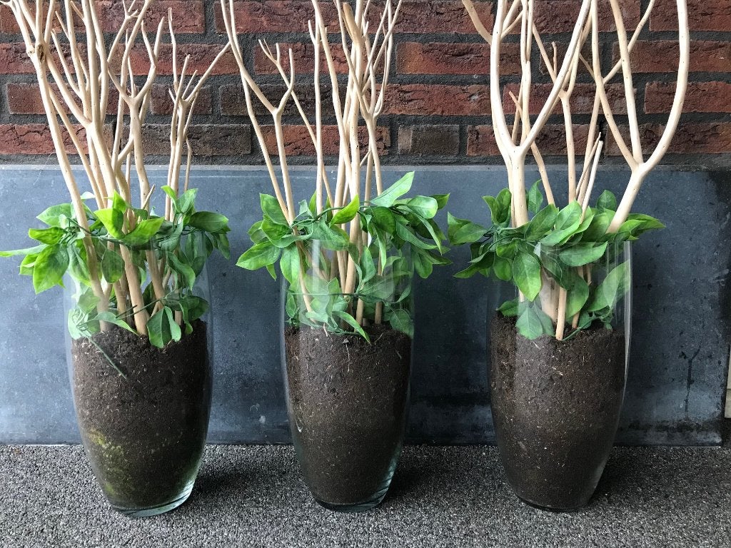 3 grote vazen 38 cm. hoog, Ophalen, Overige kleuren, Minder dan 50 cm, Glas