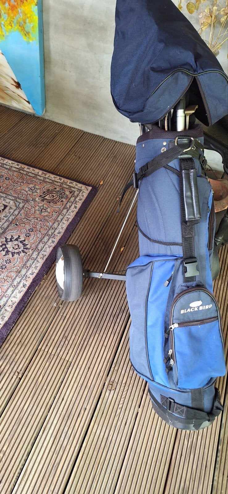Complete golfset met kar voor linkshandigen, Ophalen, Gebruikt, Set