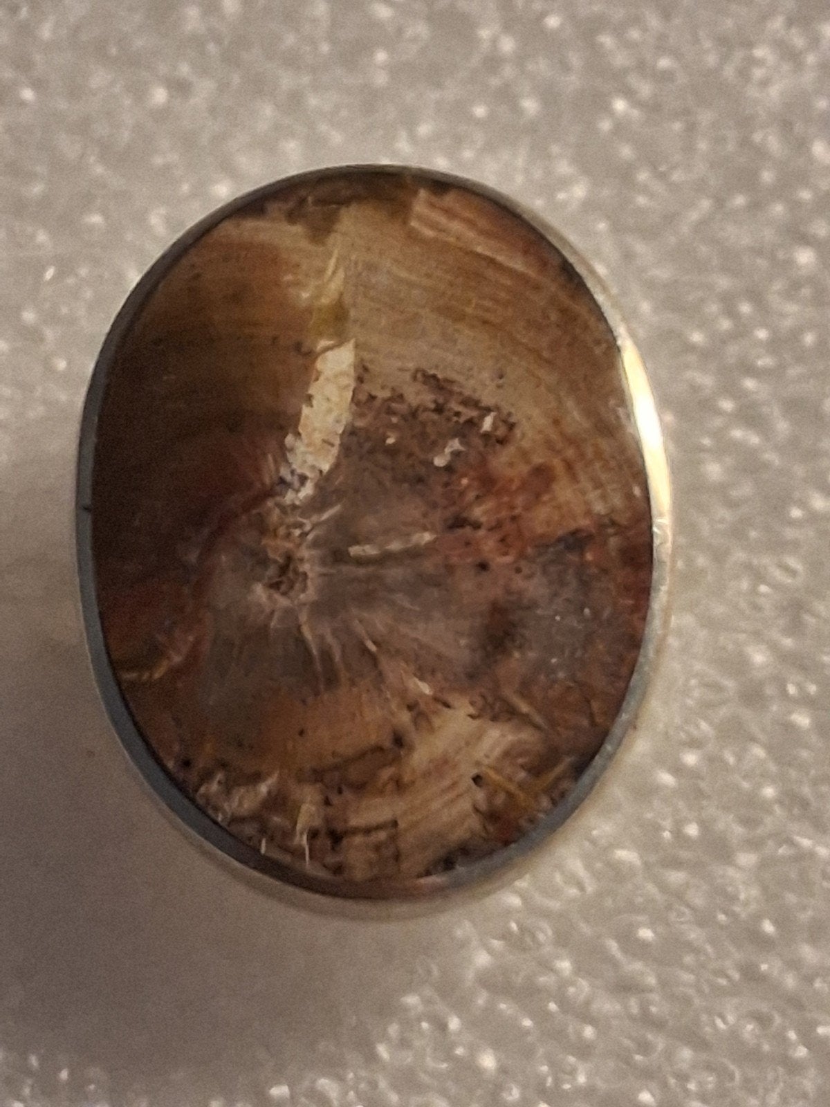 Zilveren ring met versteend hout steen -- ringmaat 18, 18 tot 19, Overige kleuren, Nieuw, Ophalen of Verzenden