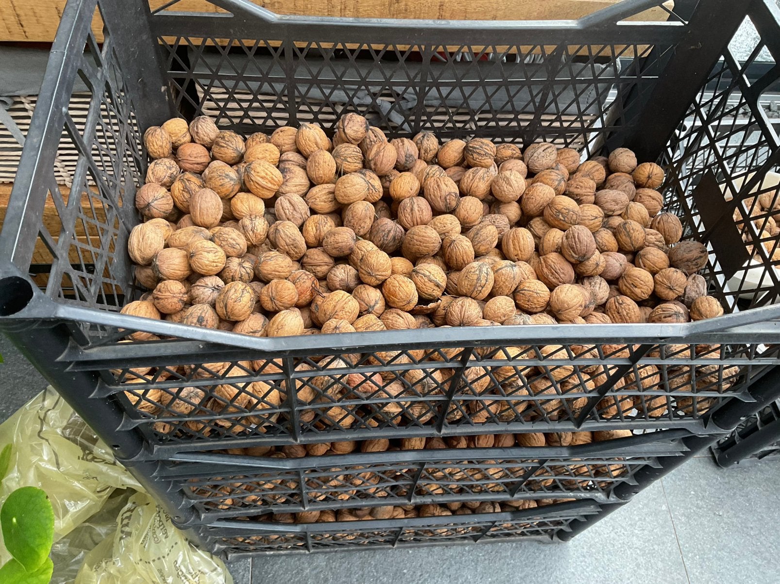 Heerlijke verse walnoten. Schoon en goed gevuld. NU 4€ Pkg, Ophalen of Verzenden