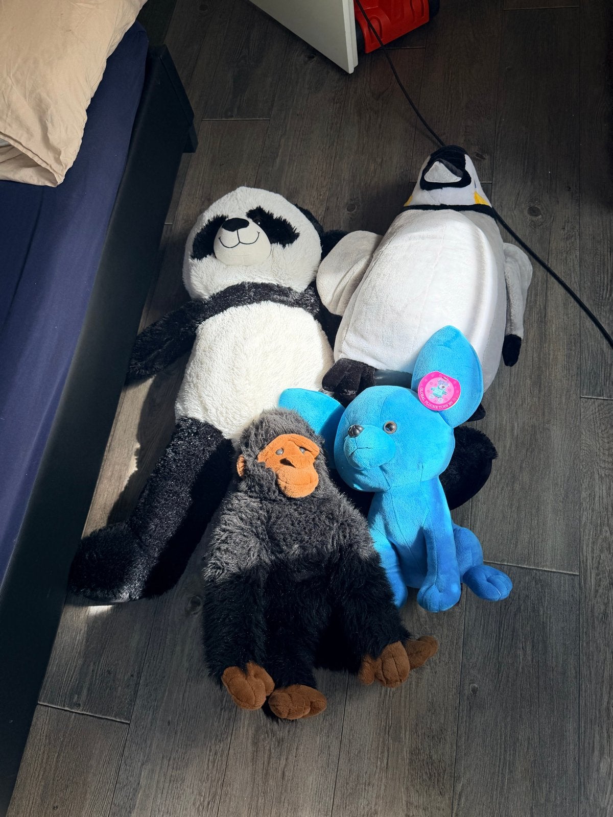 Grote knuffels: Panda, Pinguïn, Aap en Blauw Fantasiedier, Overige typen, Ophalen of Verzenden, Zo goed als nieuw, Middelgroot (20 tot 80 cm)