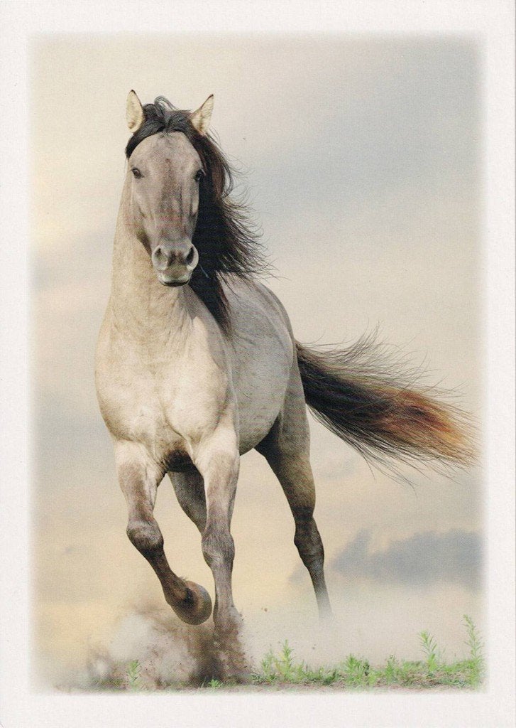 Paard galopeerd 135, Verzenden, 1980 tot heden, Ongelopen, Paard