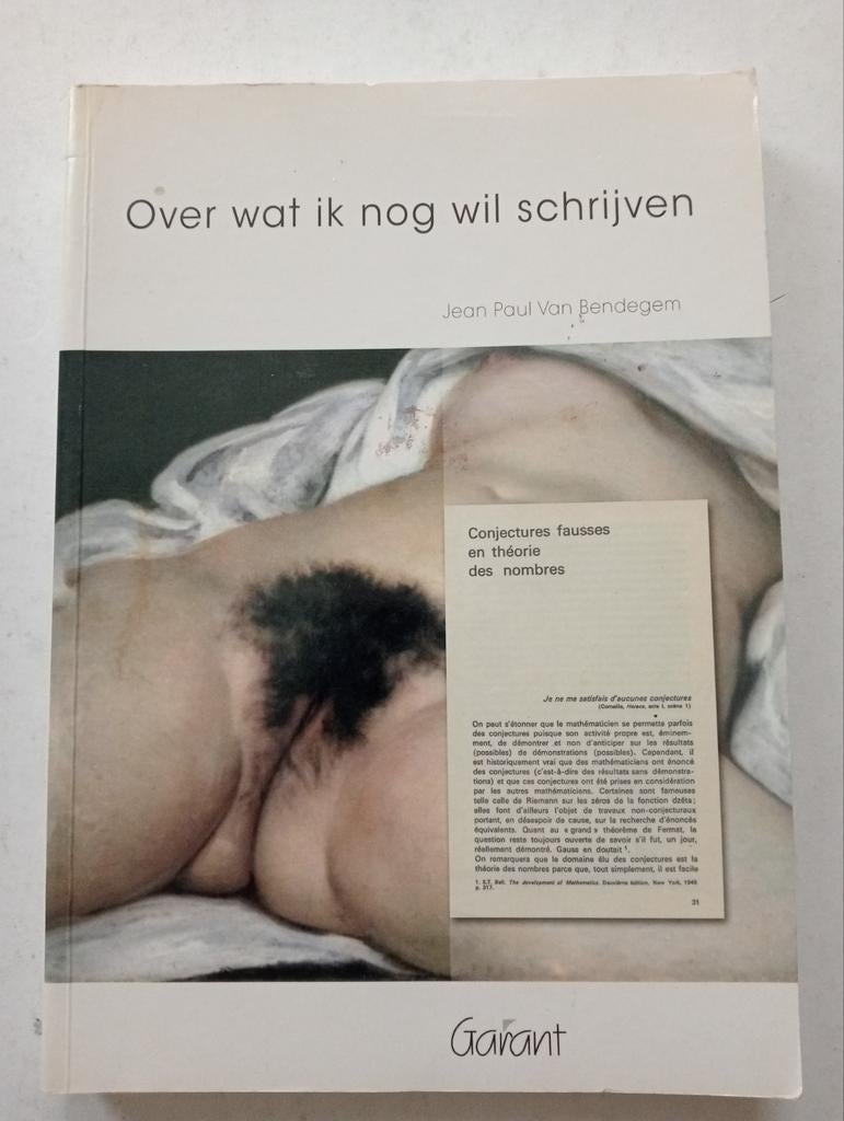 Over wat ik nog wil schrijven - Jean Paul Van Bendegem, Ophalen of Verzenden, Gelezen
