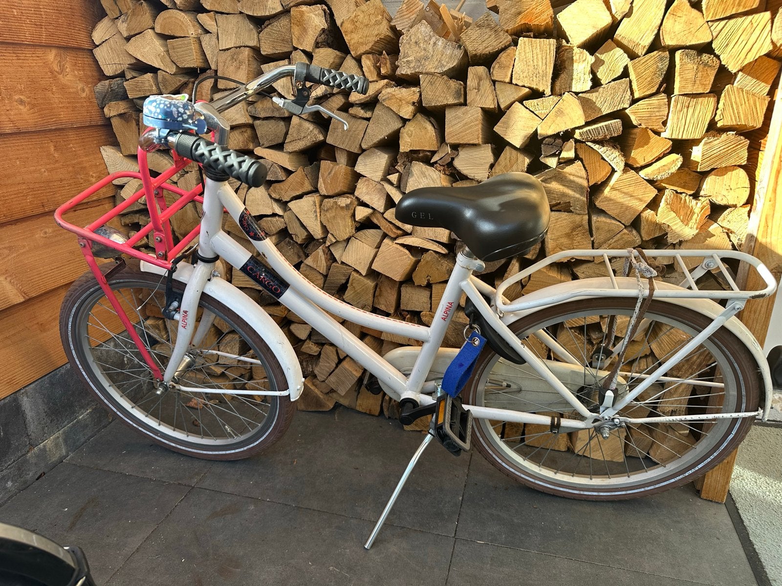 Alpina Cargo 22 inch kinderfiets, Fietsen en Brommers, Ophalen, Gebruikt, Terugtraprem, 20 inch of meer